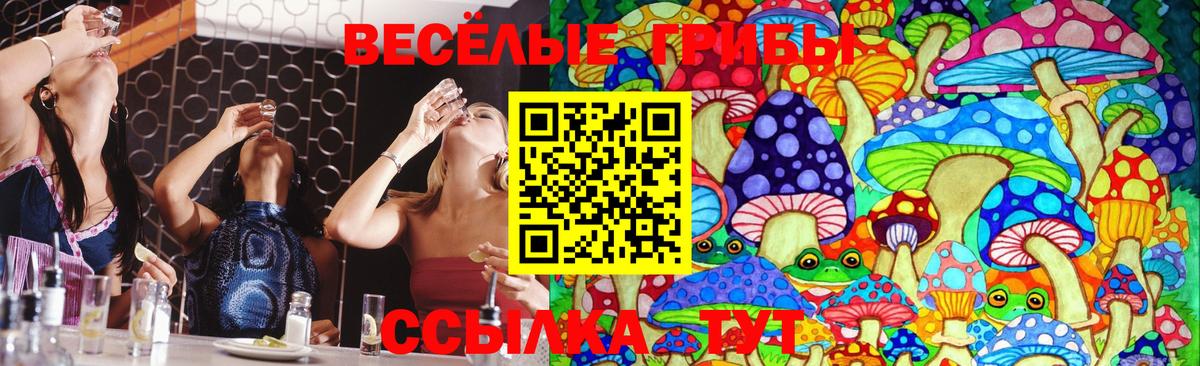 Галлюциногенные грибы MAGIC MUSHROOMS Уссурийск